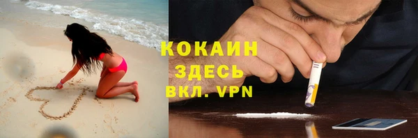 ешки Алзамай