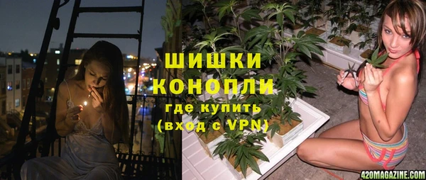 ешки Алзамай