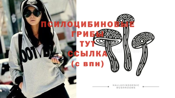 стаф Абдулино