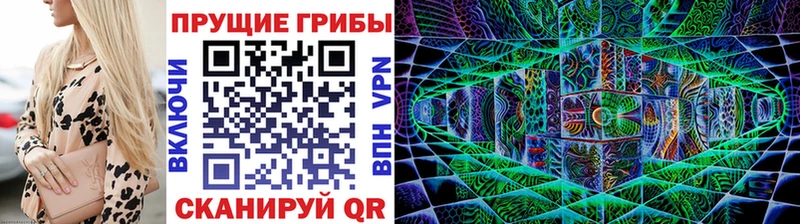 Псилоцибиновые грибы мицелий  даркнет состав  Новотитаровская 